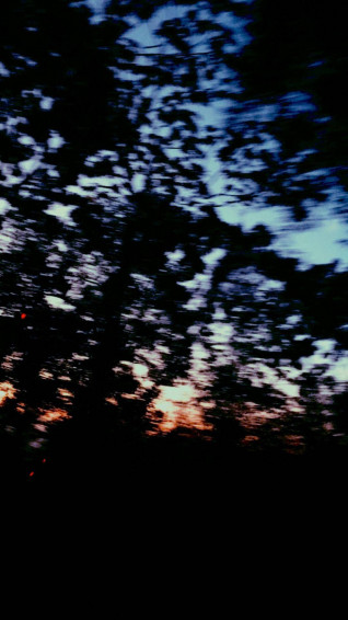 Trees Silhouette Dope iPhone Wallpaper