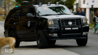 Homeland Security Suv Colony Wikia Fandom Powered By