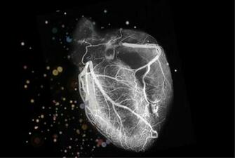 Heart Cardiology Fan Art