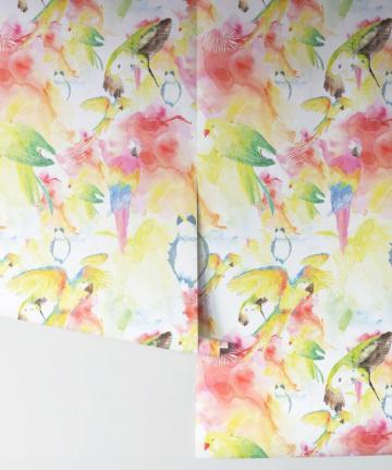 Watercolor Birds The Ultimate Tropical Bird Wallpaper Milton King