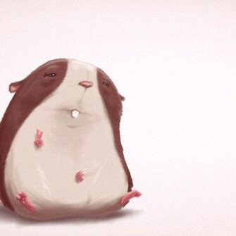 Funny Hamster iPad Wallpaper Haha
