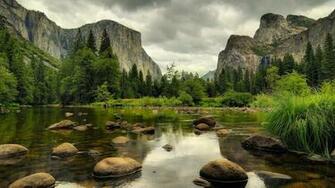 Forest Small River Desktop Wallpaper HD