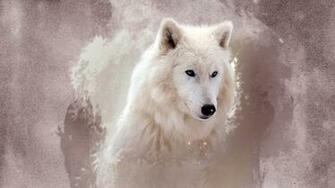 The Wolf Wallpaper HD