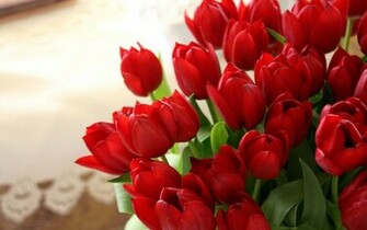 Red Tulips Wallpaper Desktop