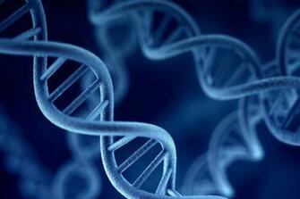 Sgugenetics Genetics In Forensic Science
