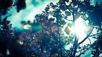 Wallpaper For Desktop Background Hipster