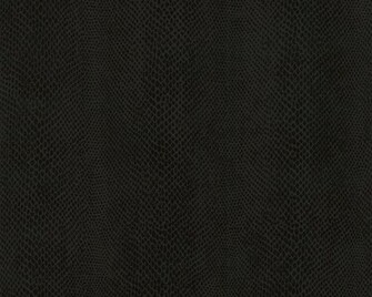 Wallcoverings In Novelty Snake Hat Box Vector Cobra Wc Black