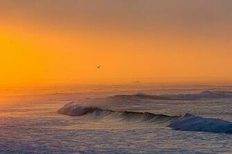And Ocean Surf Wallpaper Wall Mural Self Adhesive Multiple Sizes