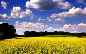 Spring Desktop Background