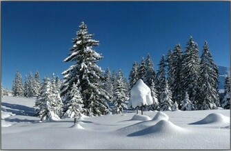 Winter Landscape Wallpaper