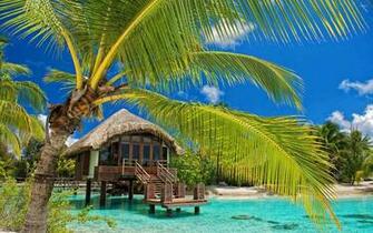 Hut In The Water By Palm Trees Wallpaper