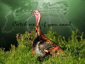 Mathews Archery Wallpaper Though