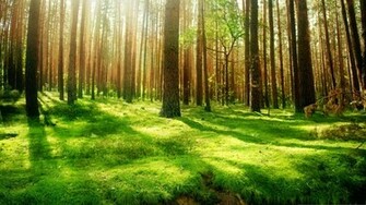 Most Beautiful Scenery Image Wallpaper World