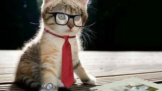 Funny Cat And Clock Wallpaper For Android With