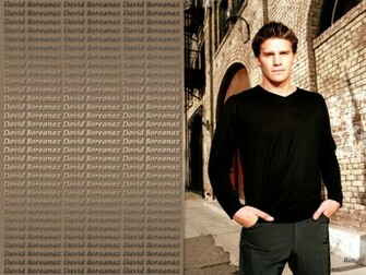 David Boreanaz Wallpaper
