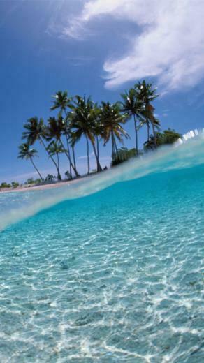 Sandy Beach iPhone Wallpaper Top