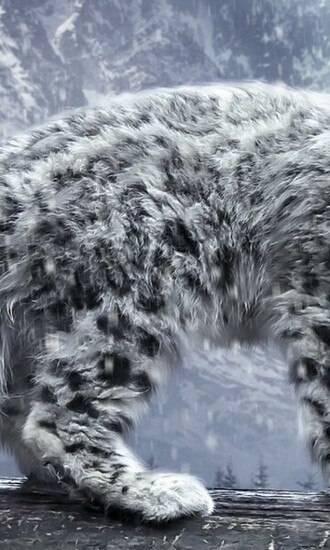 Digital Snow Leopard Desktop Pc And Mac Wallpaper