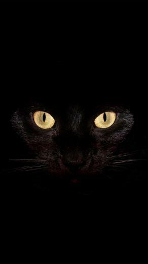 Htc One Wallpaper Cat Eyes Android