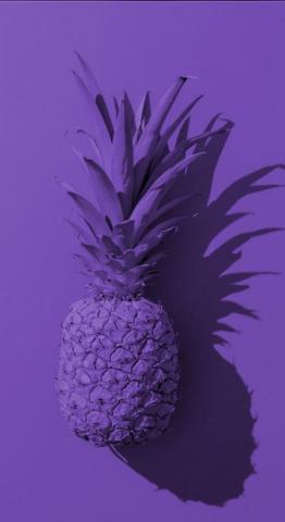 Wallpaper Para Celular Papel De Parede Roxo Roxos