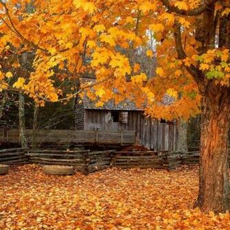 Very Beautiful Autumn Wallpaper