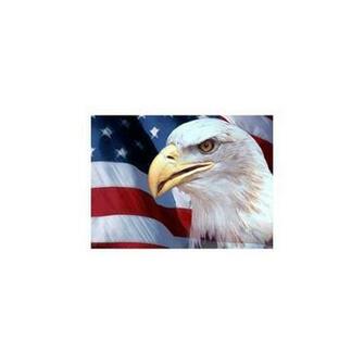 Eagle And American Flag Background