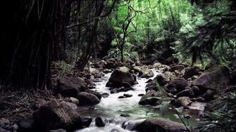 Amazing Nature Full HD Wallpaper 1080p