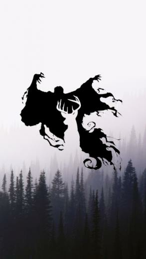 Harry Potter iPhone Wallpaper