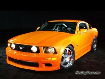 Mustang Wallpaper Mustangs