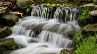 Yosemite Wallpaper Fern Spring