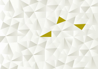 Etihad Airways Case Study Landor