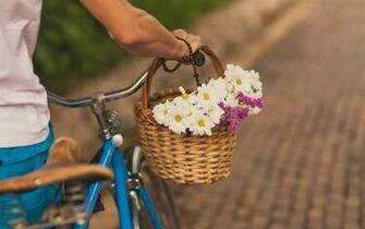 Pure High Definition HD You Can Cool Desktop Image For