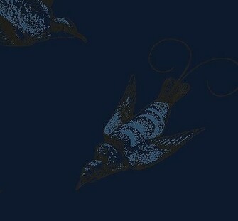 Colours Metallic Blue And Black Print On A Midnight Background