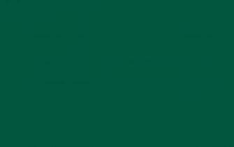 Sacramento State Green Solid Color Background