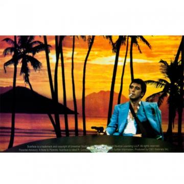 Scarface Sunset Decal Walmart