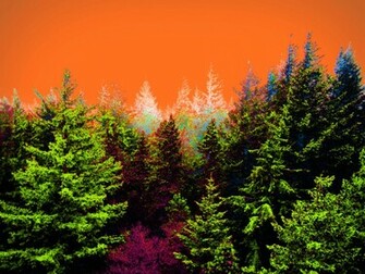 Trippy Landscape Wallpaper