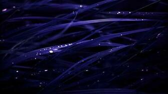 Stunning Blue Grass HD Wallpaper