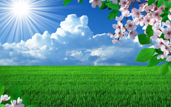 Nature Wallpaper Beautiful Spring