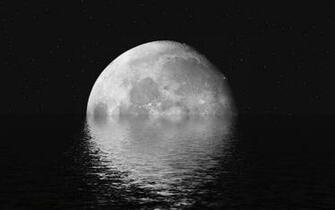 Water Reflection Moon Over Watermoon My Hammy Wallpaper