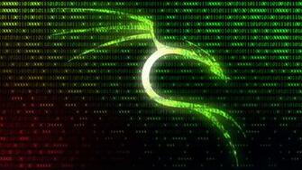 Kali Linux Nethunter Wallpaper No