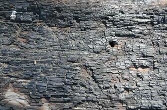 Background Texture Rock No