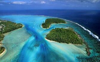 French Moorea Beach Forest Wallpaper