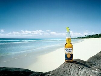Corona Extra Orange Beer Picture HD Wallpaper