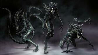 Xenomorph Alien Wallpaper Wallpoper