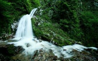 Go To The World Best Fantastic Forests And Feel Beauty Of Green