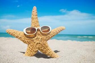 Starfish On Spring Beach Wallpaper HD IwallHD
