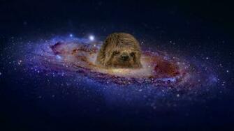 Sloth Wallpaper High Definition