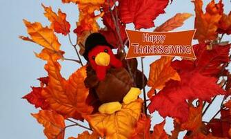 Holiday With Original Thanksgiving Wallpaper Designed By Kate Net
