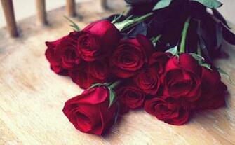 Happy Rose Day Wallpaper Photos