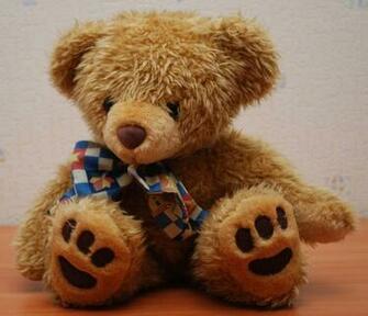 File Teddy Bear Flash Jpg Wikipedia The Encyclopedia