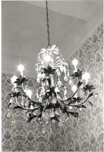 Chandelier Love Charming Zebra